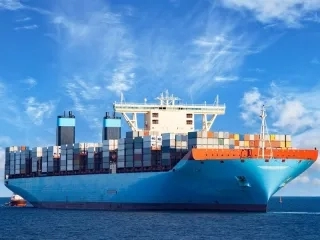 The different roles involved in international freight